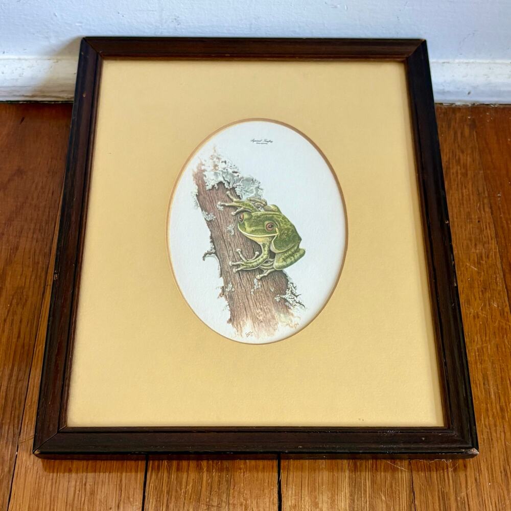 Vintage Squirrel Tree Frog Print Framed Oval Mat Wall Art